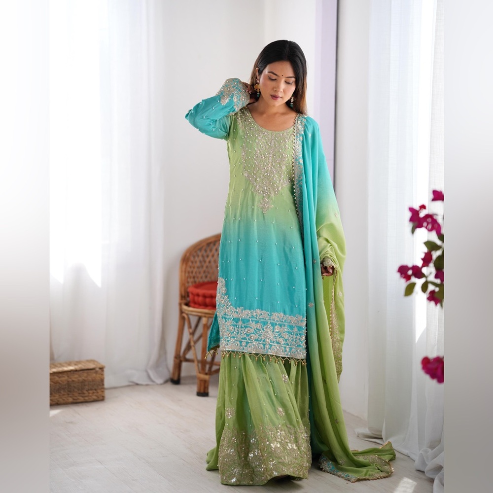 Indian Elegant Embroidered salwar kameez